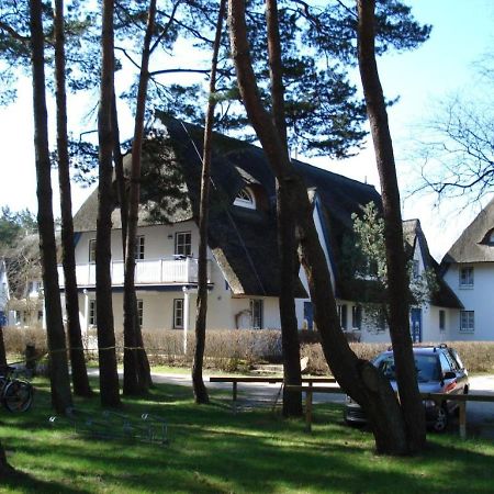 Zingst Achtern Diek 12D Elly Bagian luar foto
