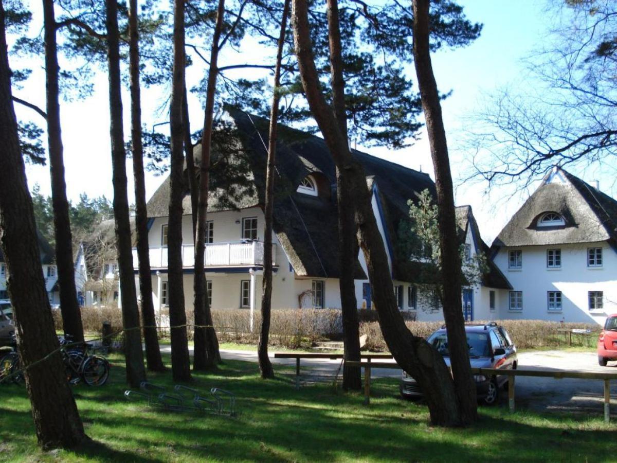 Zingst Achtern Diek 12D Elly Bagian luar foto