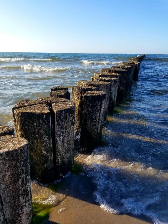 Zingst Achtern Diek 12D Elly Bagian luar foto