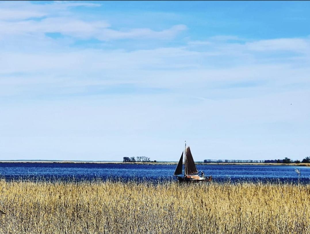 Zingst Achtern Diek 12D Elly Bagian luar foto