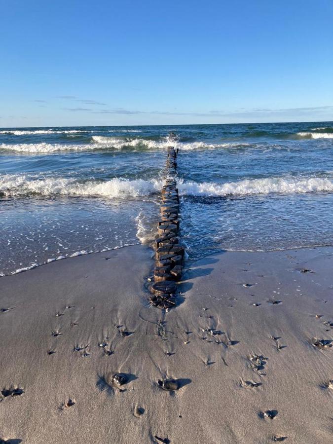 Zingst Achtern Diek 12D Elly Bagian luar foto
