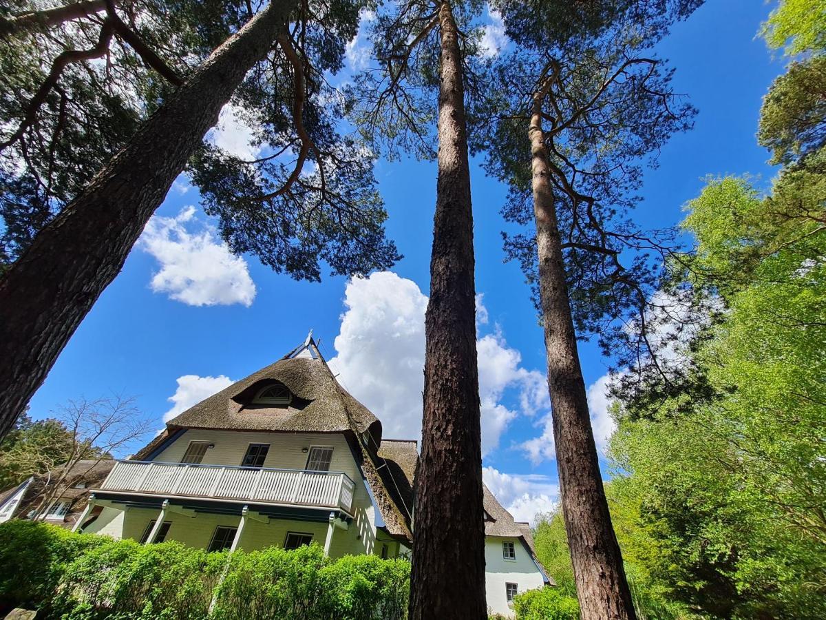 Zingst Achtern Diek 12D Elly Bagian luar foto